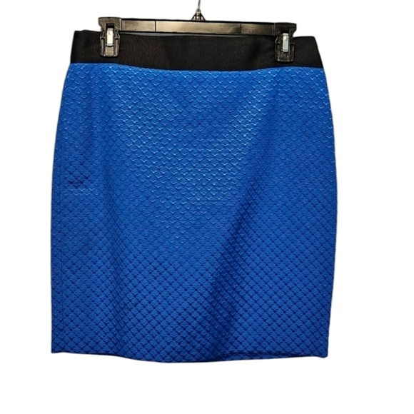 Worthington Cobalt Blue Textured Embroidered Patterned Skirt Size 4 - Picture 1 of 5